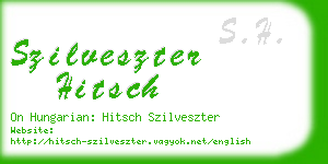 szilveszter hitsch business card